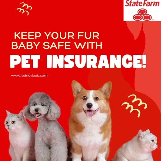 A Thoughtful 2026 Guide to Choosing the Right Pet Insurance for Dogs & Cats: Smarter Coverage, Real Costs, and Confident Decisions for U.S. Pet Owners