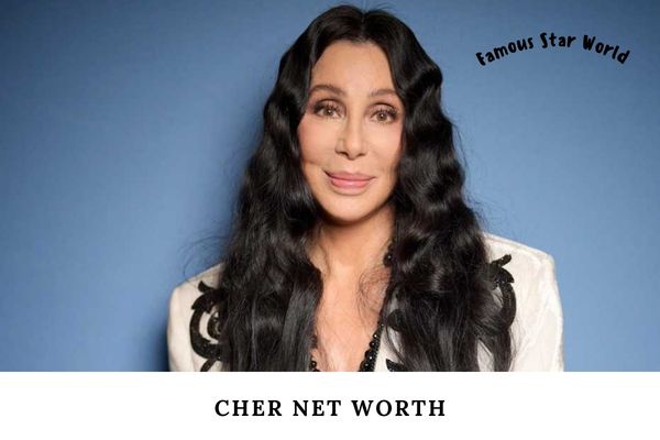 Cher Net Worth