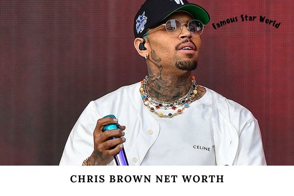 Chris Brown Net Worth