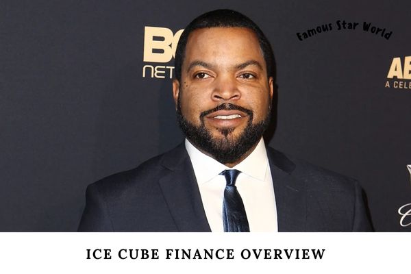 Ice Cube Finance Overview