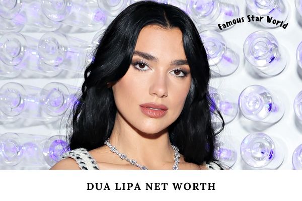 Dua Lipa Net Worth