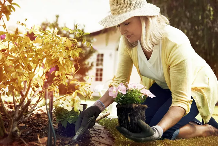 Gardening